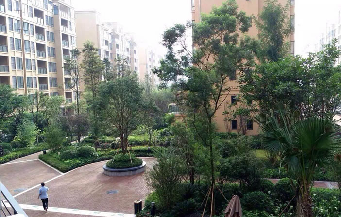 918������(�й���)�ٷ���վ