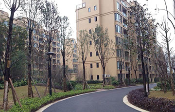 918������(�й���)�ٷ���վ